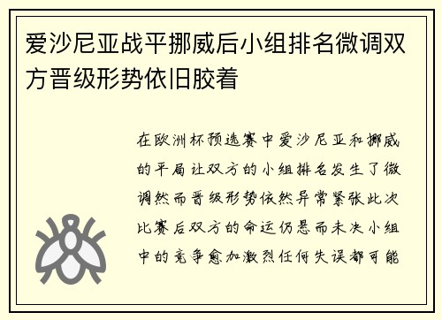 爱沙尼亚战平挪威后小组排名微调双方晋级形势依旧胶着