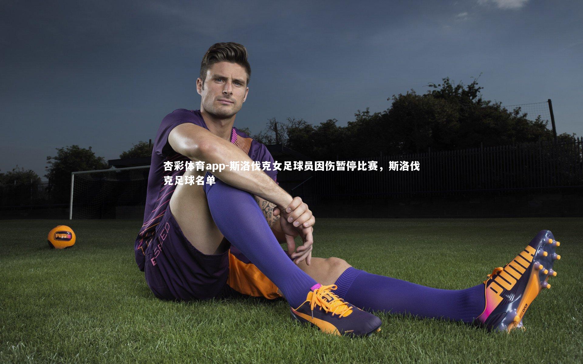 斯洛伐克女足球员因伤暂停比赛,斯洛伐克足球名单