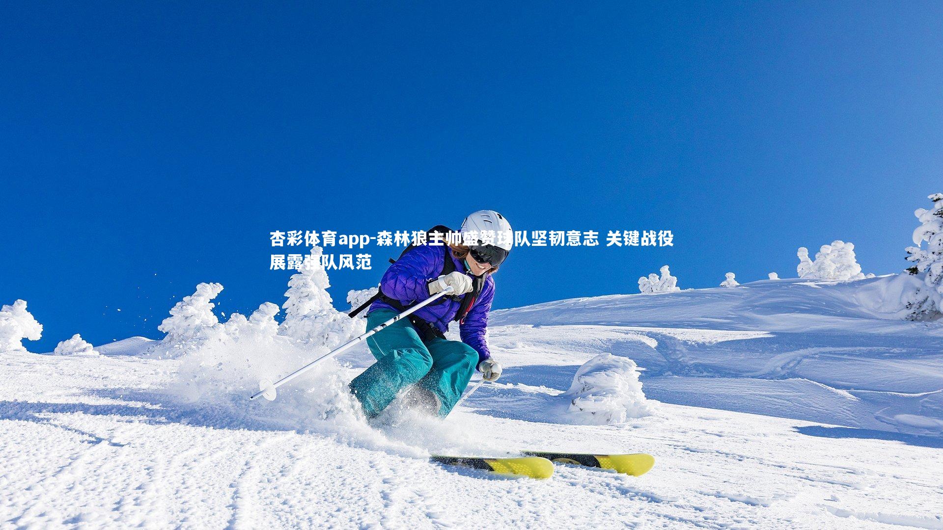 杏彩体育app-森林狼主帅盛赞球队坚韧意志 关键战役展露强队风范